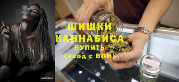 дмт Арсеньев