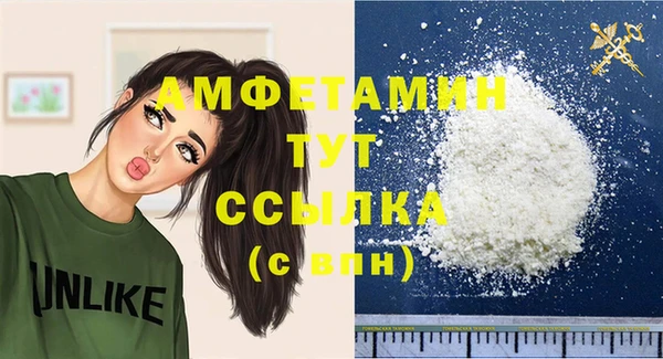 гидра Аркадак