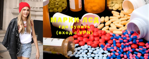 мяу мяу мука Баксан