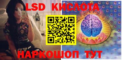 спиды Кимры