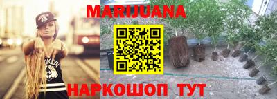jwh Кинель