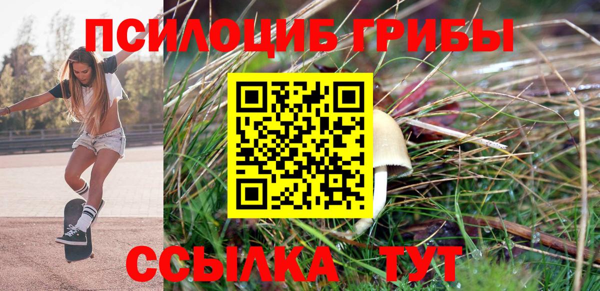 Жуковский  Псилоцибиновые грибы Psilocybe  Галлюциногенные грибы MAGIC MUSHROOMS  Вход с VPN 