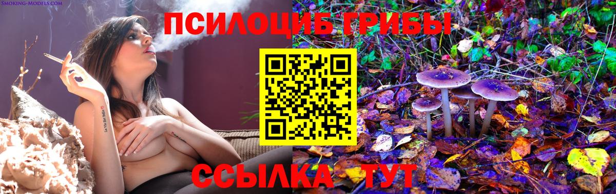 Галлюциногенные грибы мицелий Жуковский