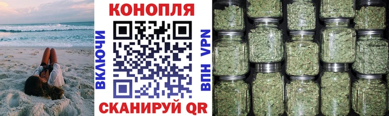 что такое наркотик Жуковский Шишки марихуана ГИДРОПОН